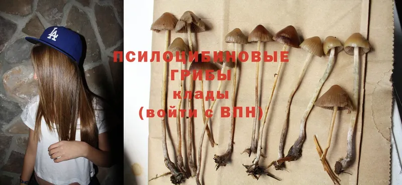 кракен зеркало  сайты даркнета телеграм  Галлюциногенные грибы MAGIC MUSHROOMS  Гремячинск 